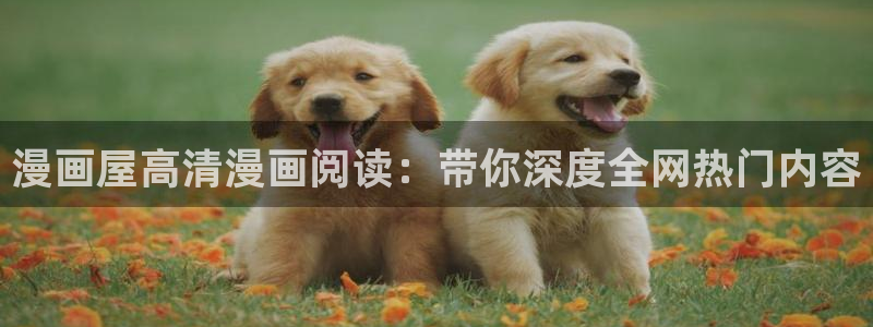 新新漫画漫画榜单