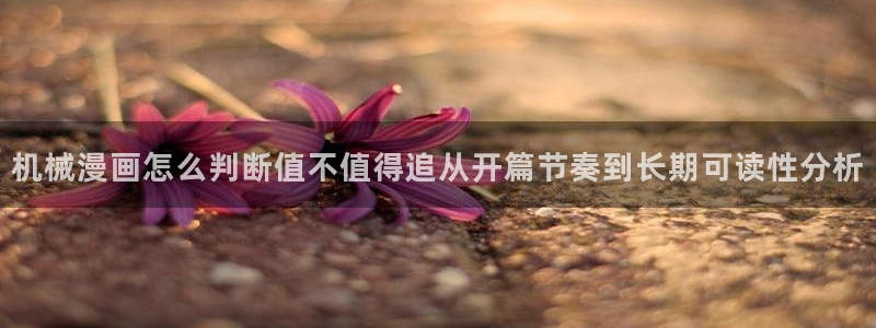 漫漫漫画官网